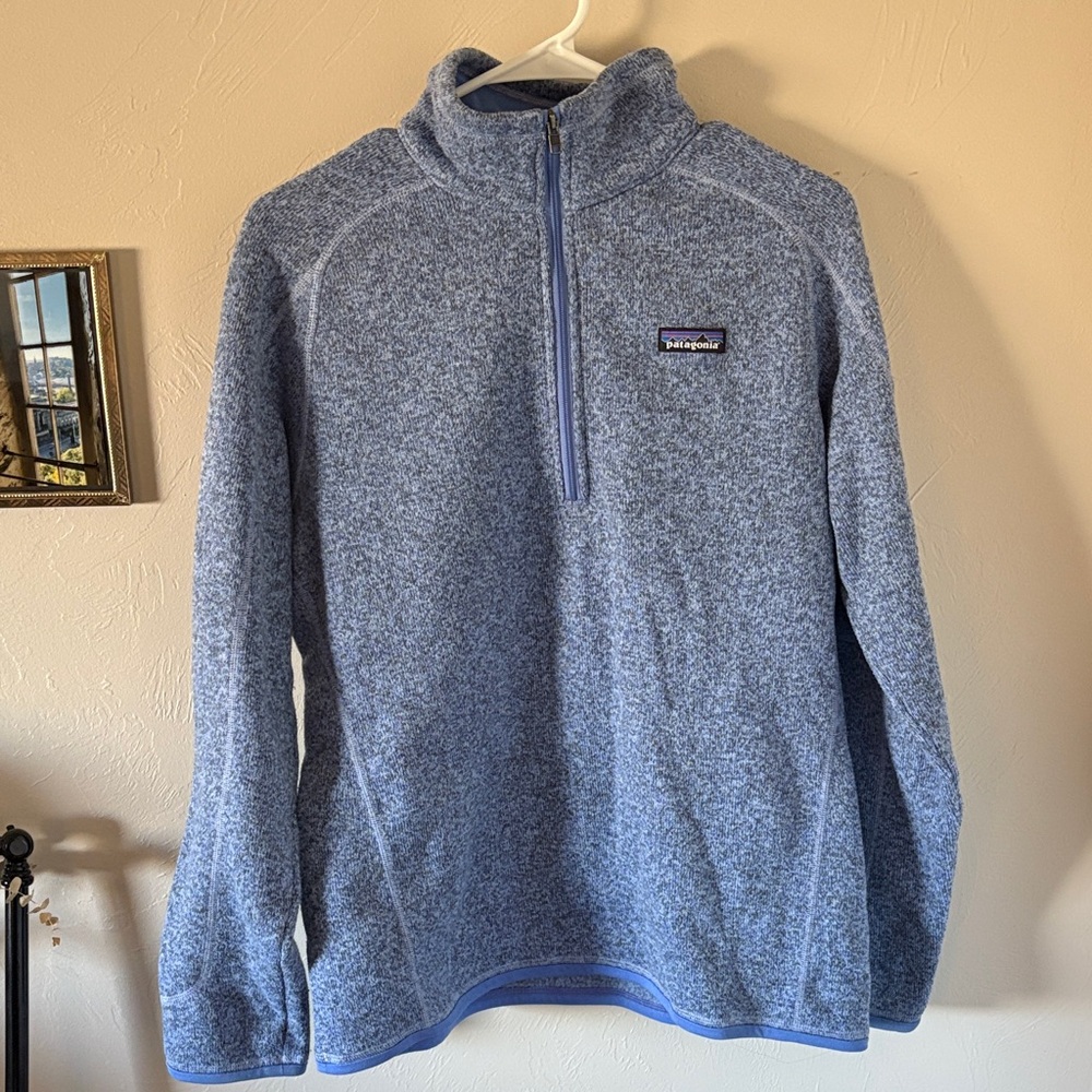 Periwinkle Patagonia Pullover